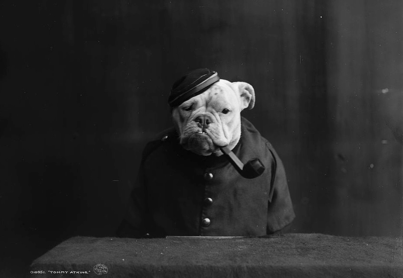 Illustration for article titled Even In The 1900s, Humans Were Obsessed With Photos Of Dogs In Clothes